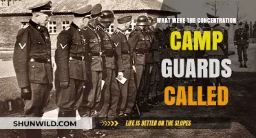 The Forgotten Names: Unveiling the Titles of Concentration Camp Guards