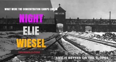 Night's Harrowing Depiction: Life Inside Elie Wiesel's Concentration Camps