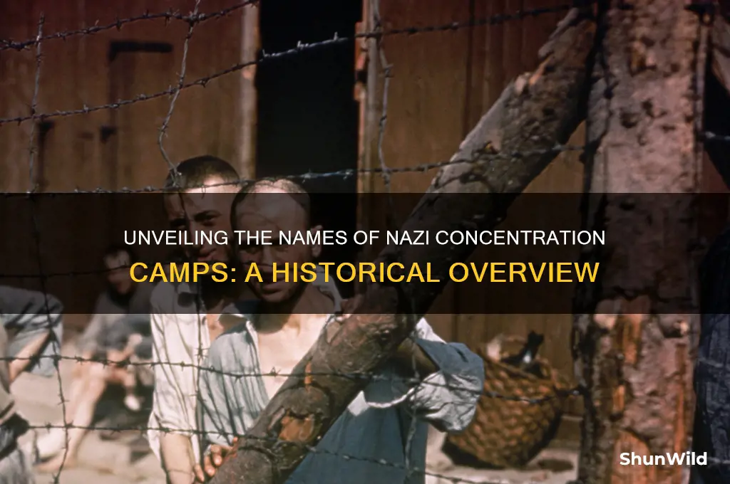 what were the concentration camps names