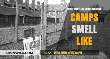The Haunting Scents of Concentration Camps: A Survivor's Recollection