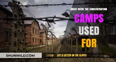 Understanding the Purpose and Horrors of Concentration Camps