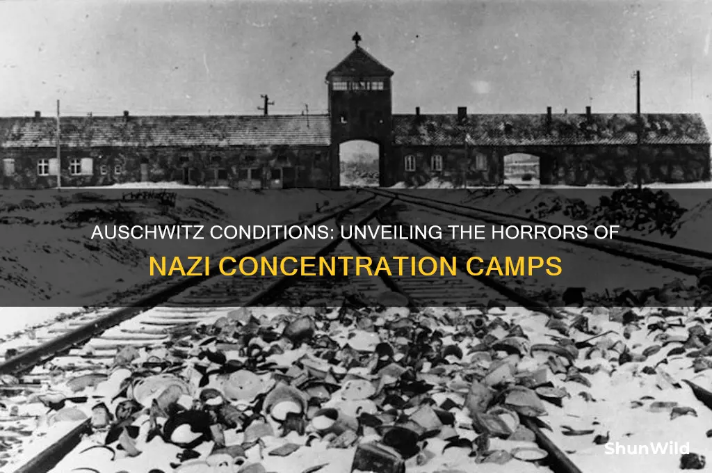 what were the conditions at auschwitz concentration camp