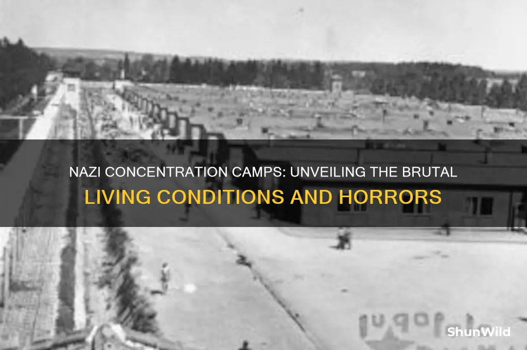what were the conditions of nazi concentration camps