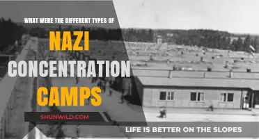 Nazi Concentration Camps: Types, Purposes, and Historical Significance
