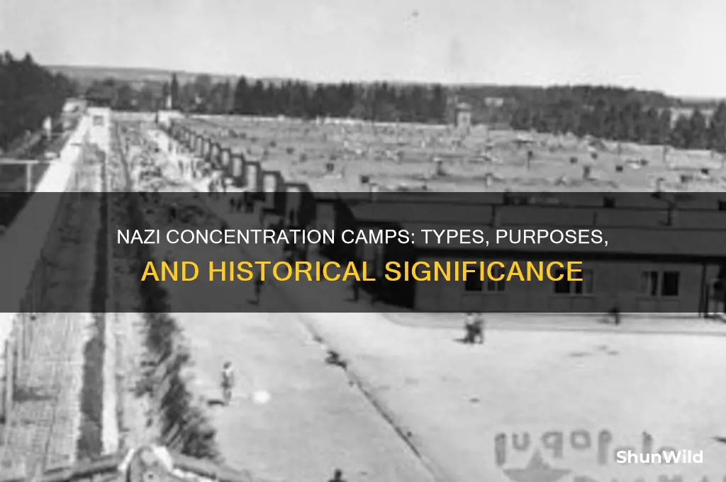 what were the different types of nazi concentration camps