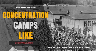 Early Concentration Camps: Origins, Conditions, and Human Suffering Explored