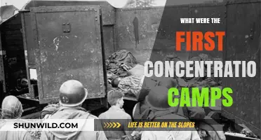 Origins of Concentration Camps: Early History and First Implementations