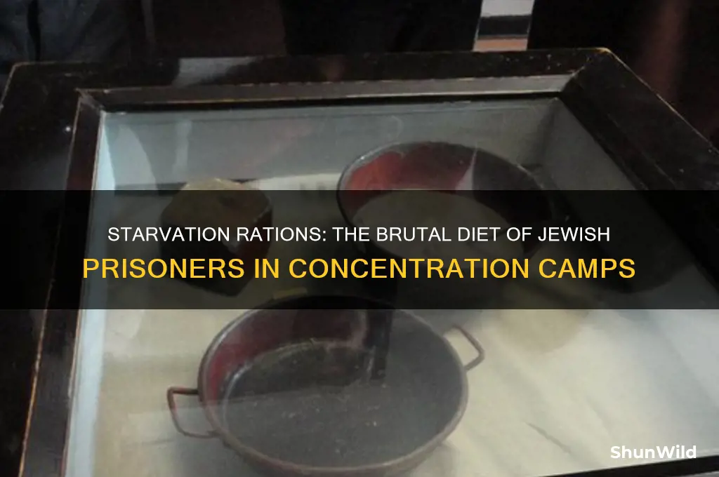 what were the jewish people fed in the concentration camps