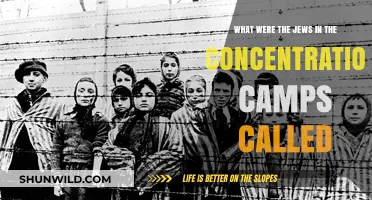 The Forgotten Names: Identifying Jews in Concentration Camps