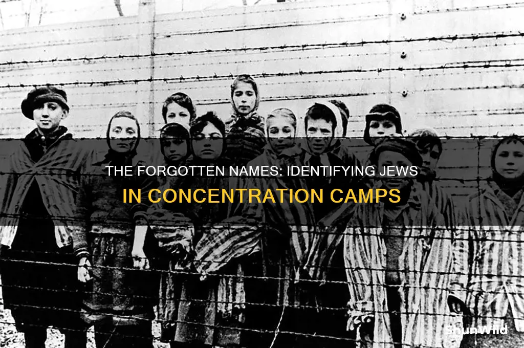 what were the jews in the concentration camps called