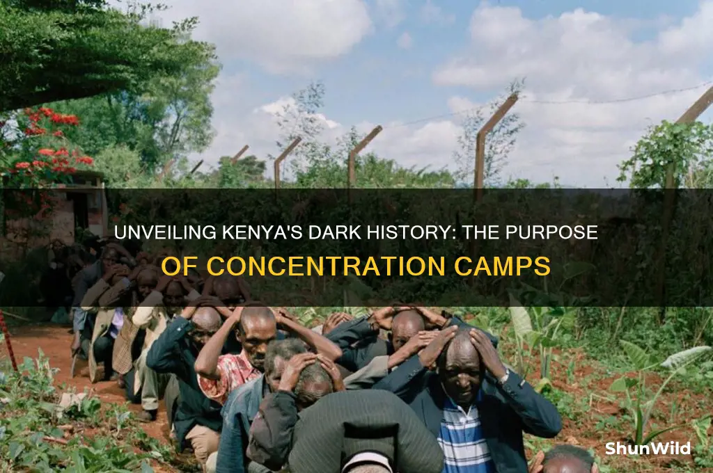 what were the kenya concentration camps for