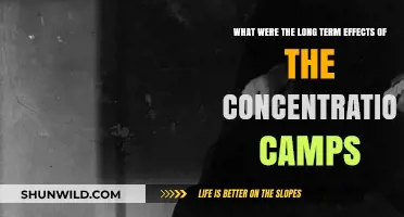 Concentration Camps' Lasting Scars: Long-Term Effects on Survivors and Society