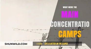 Unveiling the Dark History: Major Concentration Camps of the Holocaust