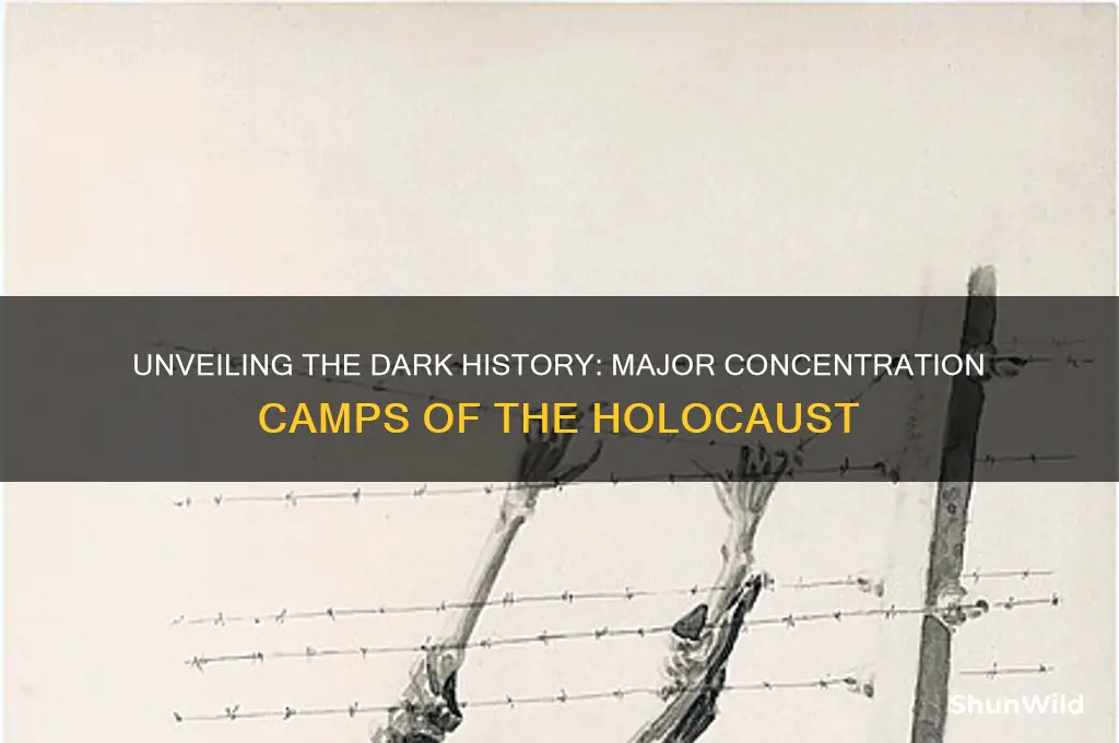 what were the main concentration camps