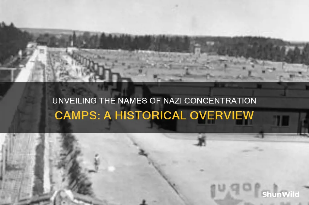what were the names of the nazi concentration camps