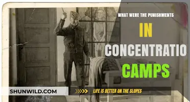 Punishments in Concentration Camps: Brutality, Torture, and Inhumane Treatment