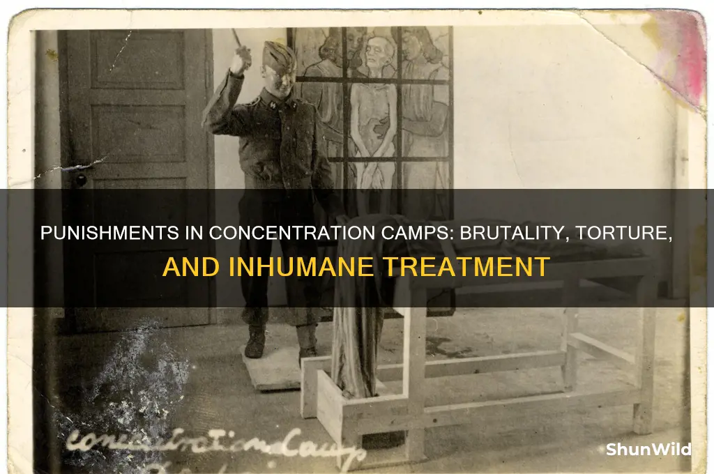 what were the punishments in concentration camps