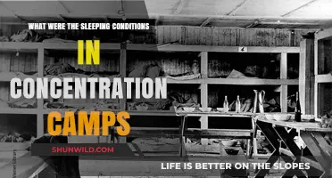 Sleeping Conditions in Concentration Camps: A Harsh Reality Revealed