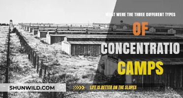 Understanding the Three Varieties of Concentration Camps in History