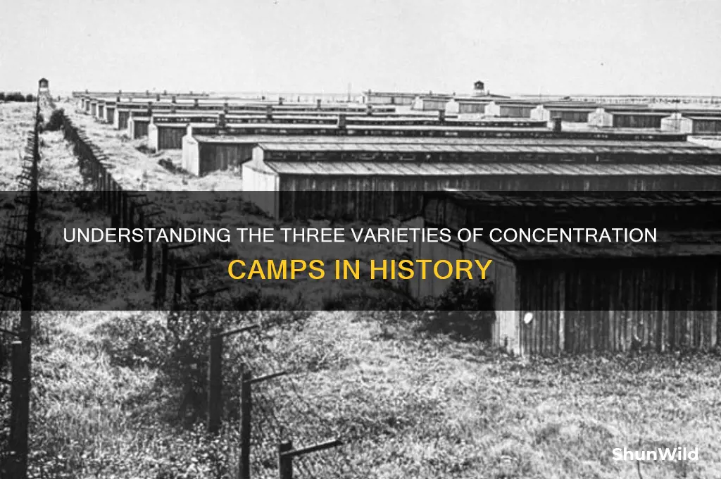what were the three different types of concentration camps