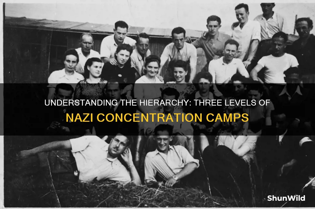 what were the three levels of concentration camps