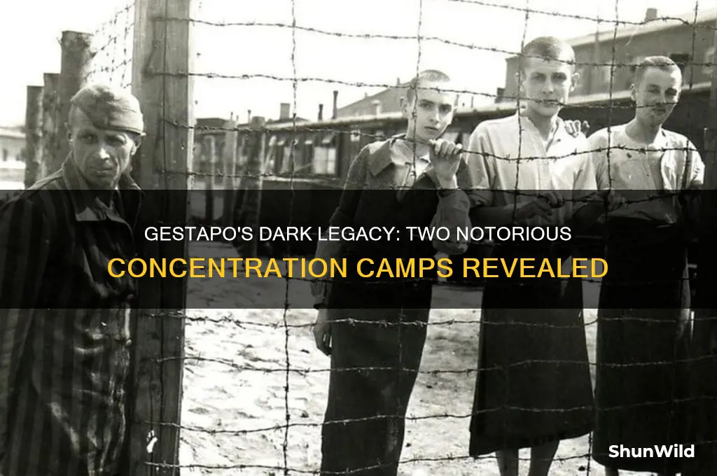 what were the two concentration camps established by the gestapo