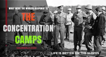 Global Reactions to Concentration Camps: Outrage, Silence, and Action