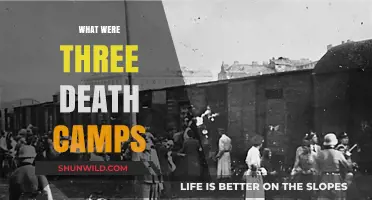 Unveiling the Horrors: A Deep Dive into Three Notorious Death Camps