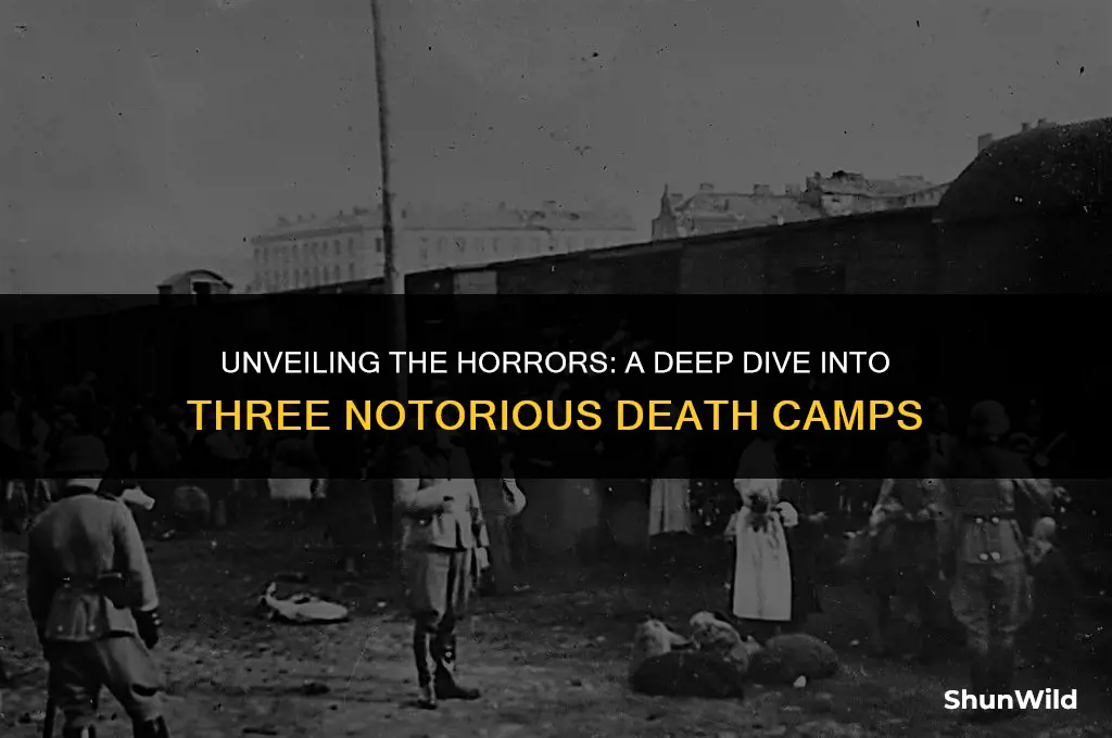 what were three death camps