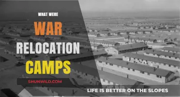 Unveiling the Dark History of War Relocation Camps in America
