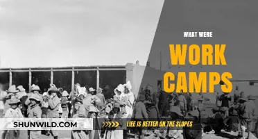 Understanding Work Camps: History, Purpose, and Impact Explained