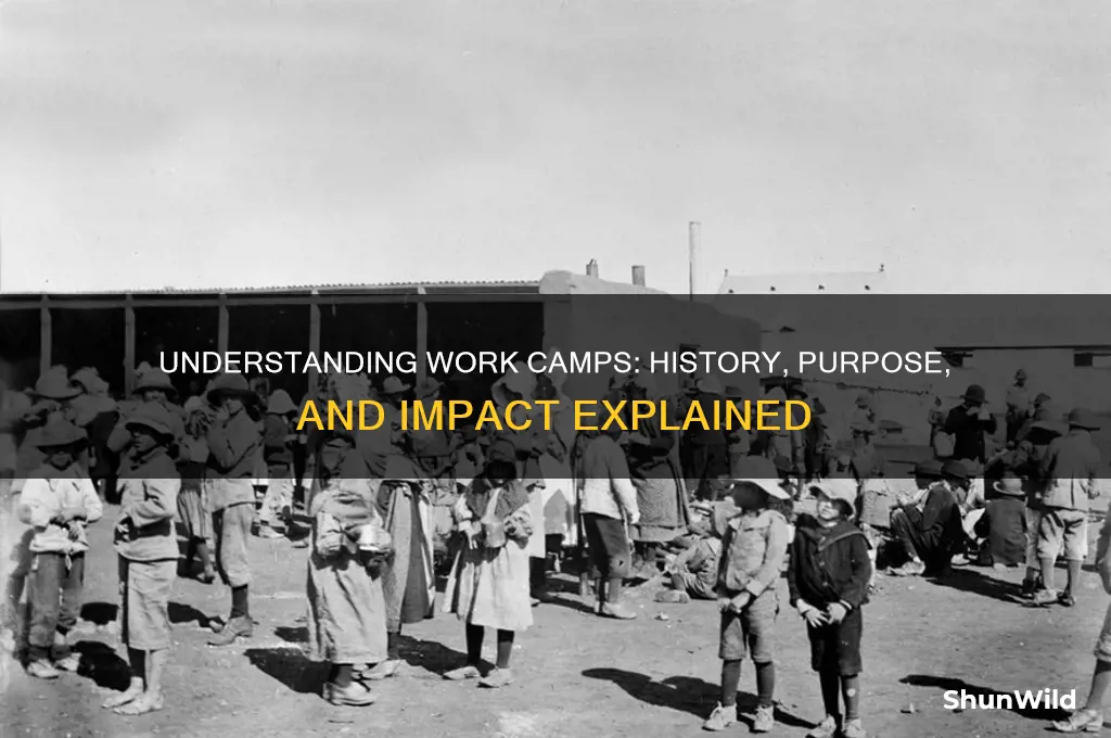 what were work camps