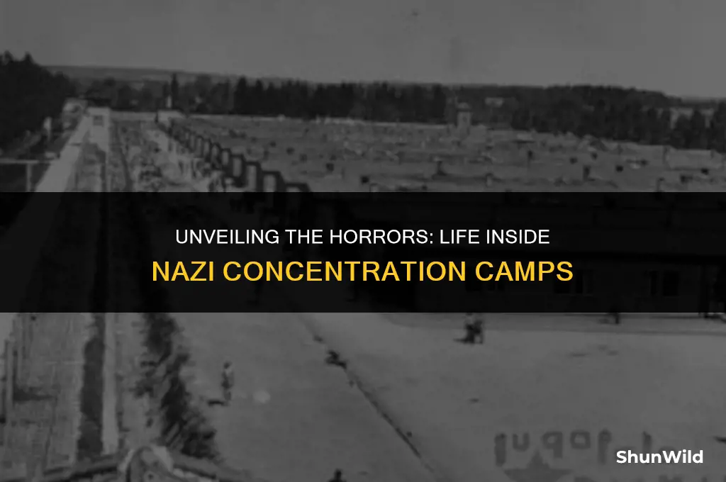 what where concintation camps like