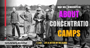 Democrats' Response to Concentration Camps: Action Plan and Accountability