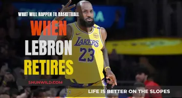 The NBA's Future After LeBron's Retirement