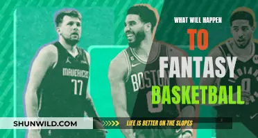 The Evolution of Fantasy Basketball: What's Next?