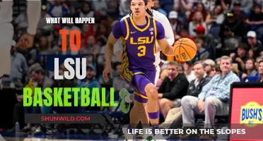LSU Basketball's Future: What's Next?