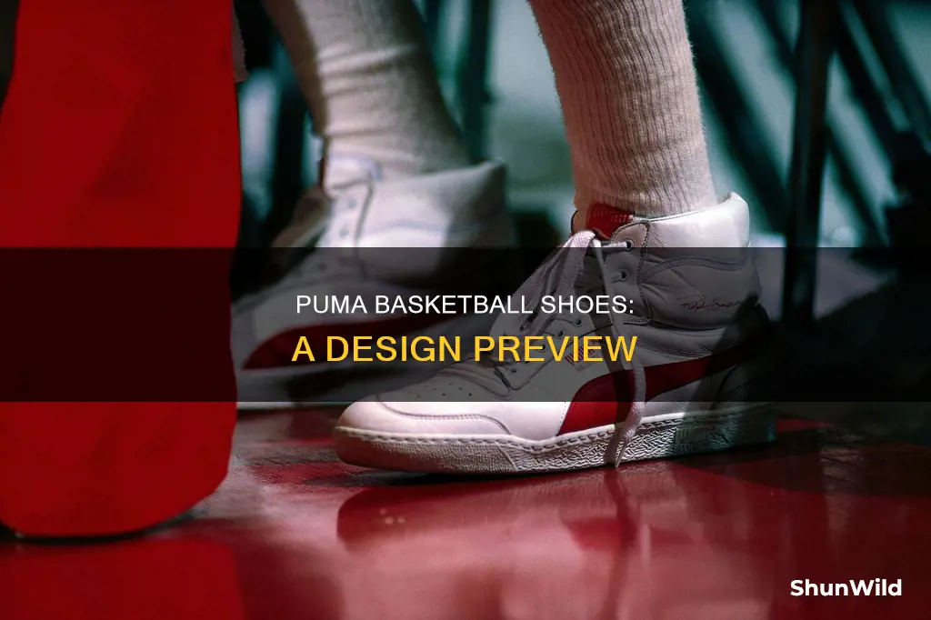 what will puma basketball shoes look like