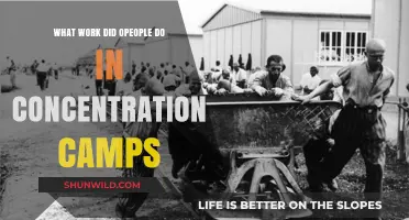 Forced Labor in Concentration Camps: The Brutal Work of Prisoners