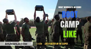 USMC Boot Camp Workouts: Intense Physical Training Explained