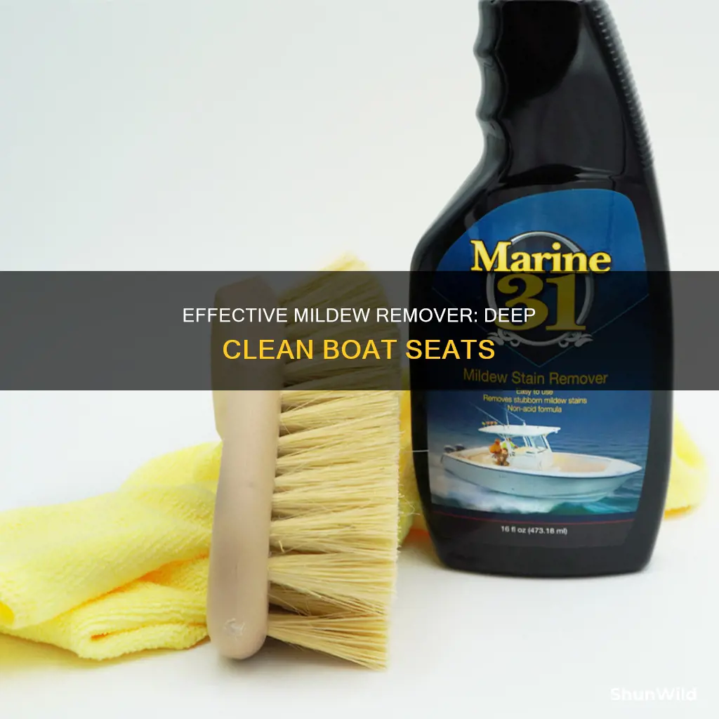 what works good to clean pink mildew from boat seats