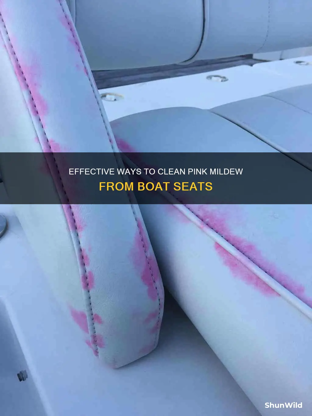 what works good to clean pink mildew from boat seats