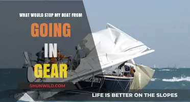 Unraveling the Mystery: Why Won't My Boat Go in Gear?