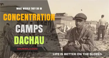 Life in Dachau: Daily Struggles and Survival Tactics in Concentration Camps