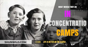 Surviving the Unimaginable: Life and Choices in Concentration Camps