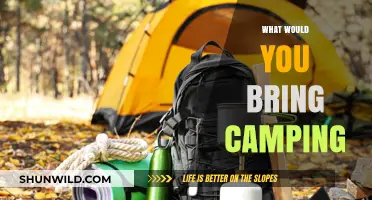Essential Gear for a Perfect Camping Adventure