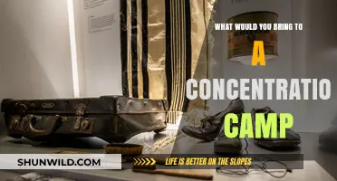 Essential Items for Survival: Preparing for a Concentration Camp Scenario