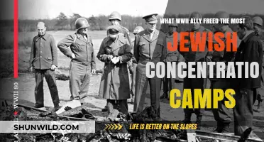 Soviet Forces: The WWII Ally Liberating Most Jewish Concentration Camps