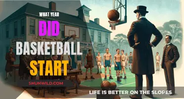 The Birth of Basketball: A Historical Perspective