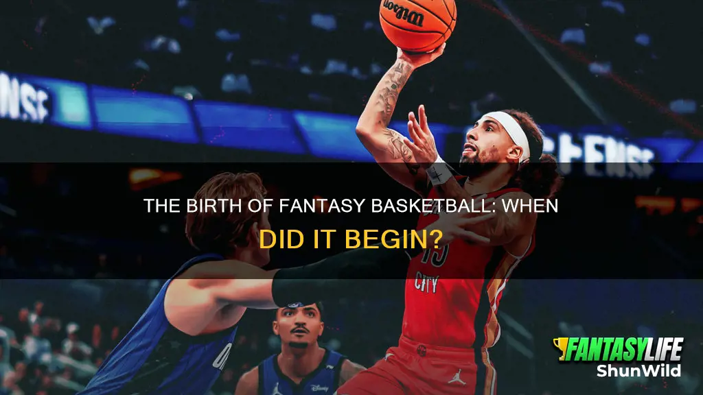what year did fantasy basketball start